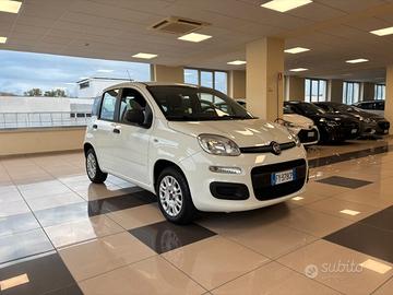 FIAT Panda 3ª serie Panda 1.2 Easy