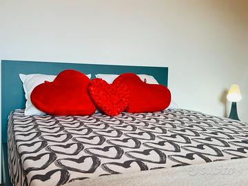 Ampia singola in appartamento per studenti da sett