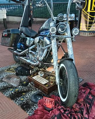 Harley Davidson XL 883L 2005 carburatore incisioni