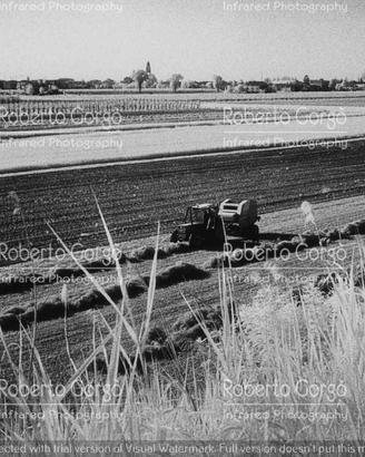 Fotografia La Campagna Infrarosso Formato 33X48