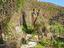 Immagine 29