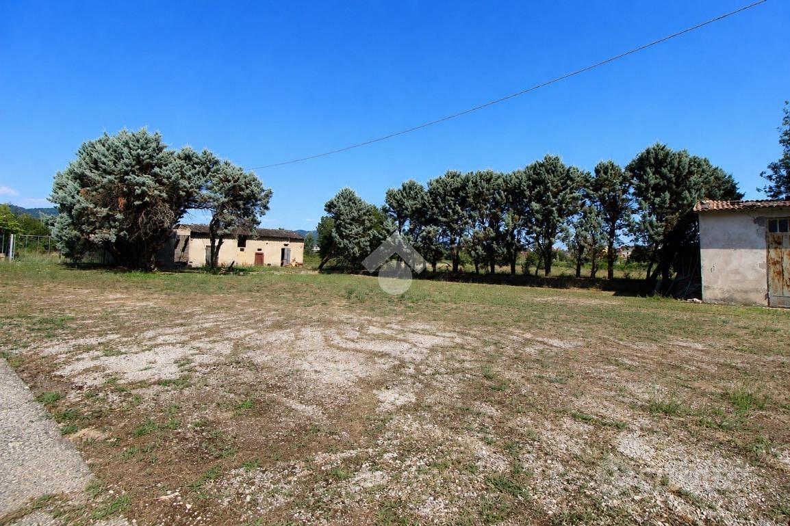RUSTICO A LARCIANO - Altro
