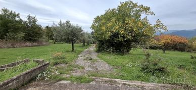Ampio terreno con fabbricato TERC/18