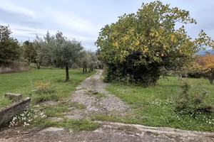 Ampio terreno con fabbricato TERC/18