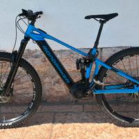Bicicletta elettrica e-MTB biamortizzata.