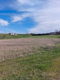 Terreno agricolo ripalimosani