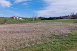 Terreno agricolo ripalimosani