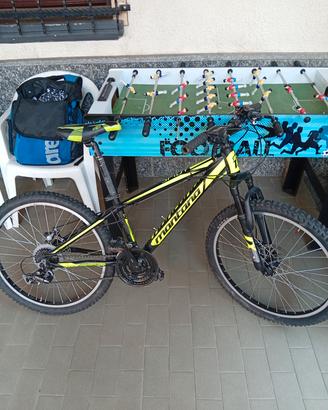 Mountain bike 