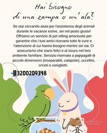 Pet sitting piccoli animali
