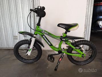 Bicicletta 14 Kawasaki