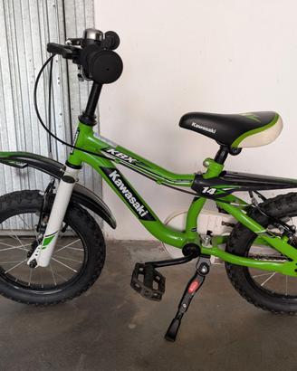 Bicicletta 14 Kawasaki