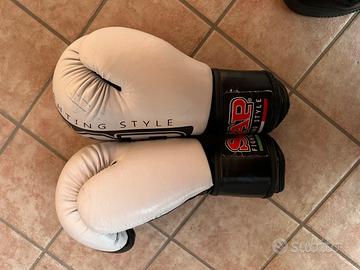 guanti da boxe e arti marziali sap