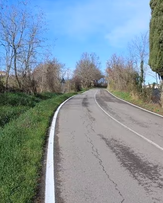 Immobile in asta di 43309 m² a Meldola