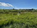 ter-agricolo-a-ponte-buggianese