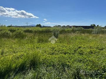 TER. AGRICOLO A PONTE BUGGIANESE
