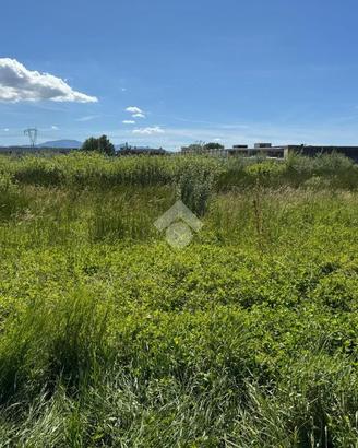 TER. AGRICOLO A PONTE BUGGIANESE