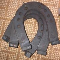 Ferri di cavallo e mulo