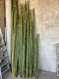 80 canne di bambù per orto giardino nuove