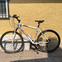 Mountain bike Torpado T810