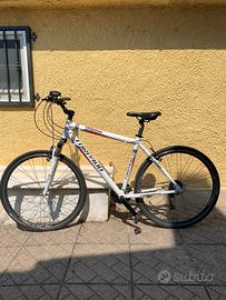 Mountain bike Torpado T810