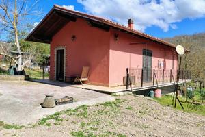 Rustico ristrutturato con frutteto e attrezzature