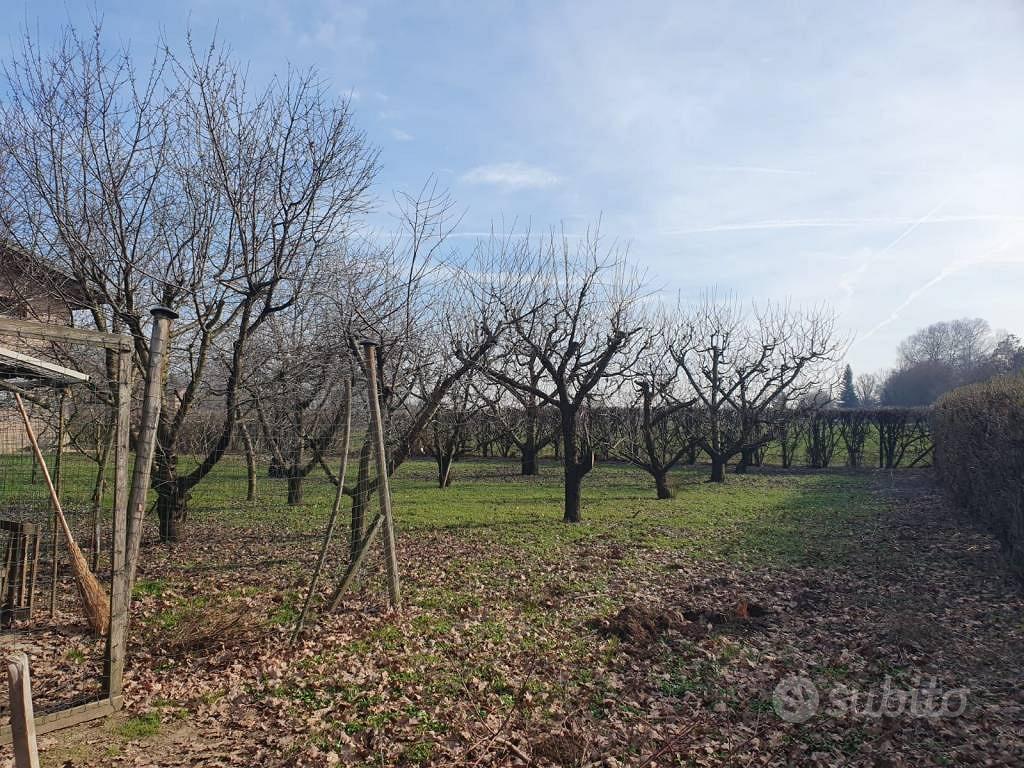 Rustico / Casale di 600 m² con più di 5 locali e b - View 5