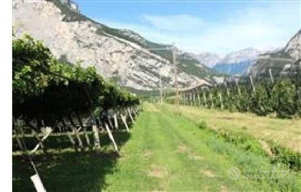 Immobile in asta di 2417 m² a Madruzzo - Altro