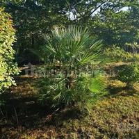 Terreno agricolo via delle Cave, Lido di Savio