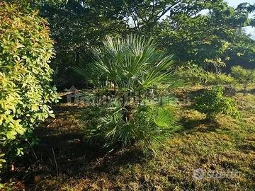 Terreno agricolo via delle Cave, Lido di Savio