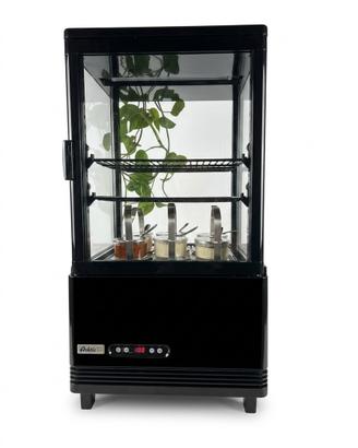 vetrinetta frigo