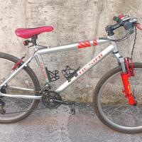 MTB Chesini
