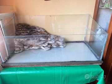 Acquario per tartaruga