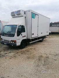 Isuzu NPR 60 ql, furgone + frigo+pedana + gangere