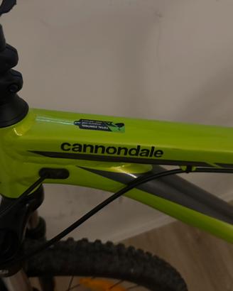 bici mountain bike cannondale