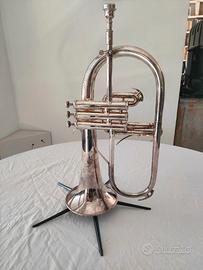 Flicorno soprano