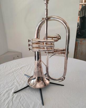 Flicorno soprano