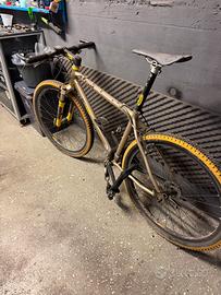 Mountain bike  telaio DM