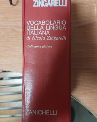 IL NUOVO ZINGARELLI vocabolario ZANNICHELLI