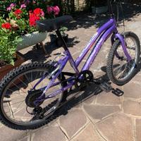 Bicicletta da bambina 20'