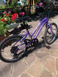 Bicicletta da bambina 20'