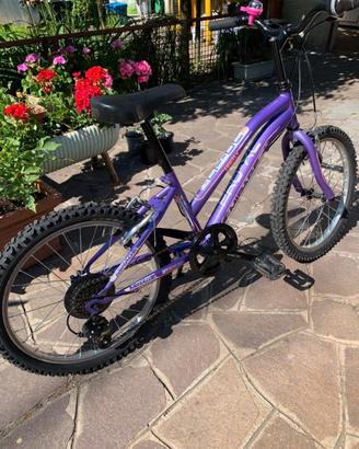 Bicicletta da bambina 20'