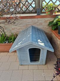 cuccia per cani 