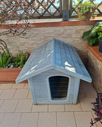 cuccia per cani 