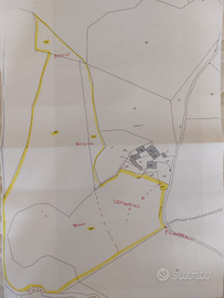 Terreno agricolo MONTESE(MO) mq 45.115