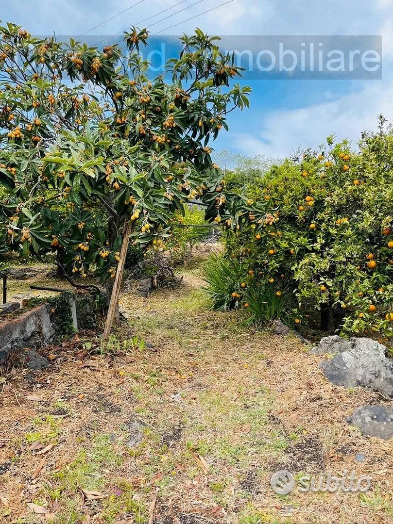 Terreno agricolo e deposito Fiumefreddo di Sicilia - Vista 3