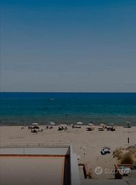 Lungo mare Nord-settimane disponibili mese Agosto