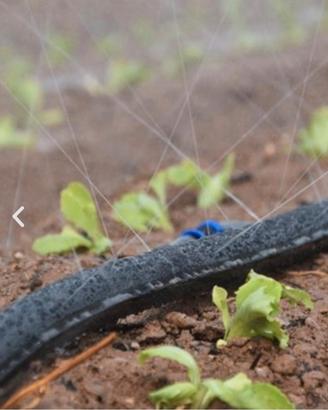 tubo d'irrigazione