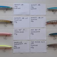 Set esche artificiali per la pesca spinning