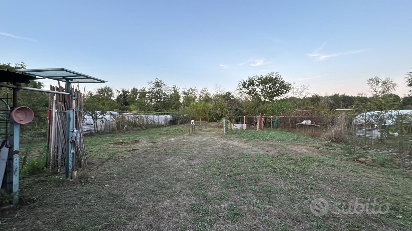 Vendita orto di proprietà - Vista 2