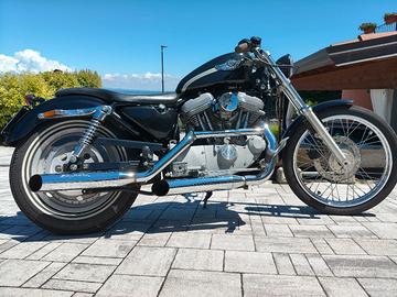 Sportster Harley Davidson 883